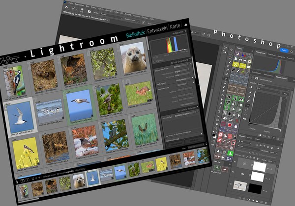 Mein Workflow in Lightroom Classic Mein Workflow in Lightroom Classic