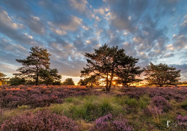 Landschaften Landschaften